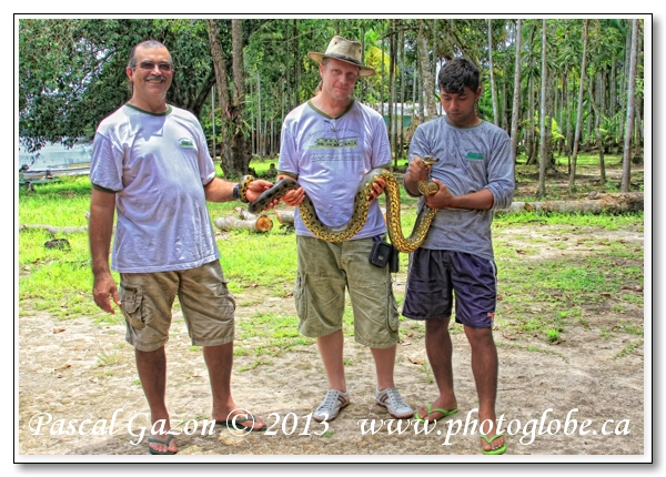 20130415_La jungle au Brésil__MG_4005 Guides + Anaconda.jpg