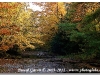 20120127_Couleurs d\'Automne_CN027-27.JPG