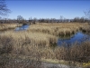 Canada - Pointe des Cascades - Village des ecluses - 2024-04-07 - 2585