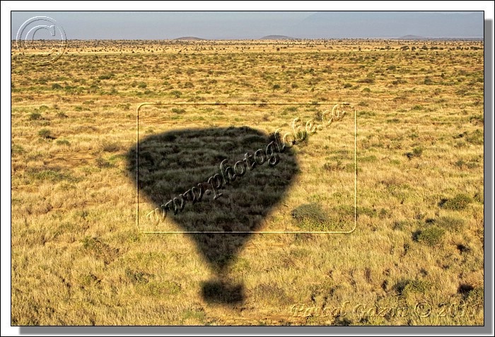 _MG_2929+montgolfiere-ombre