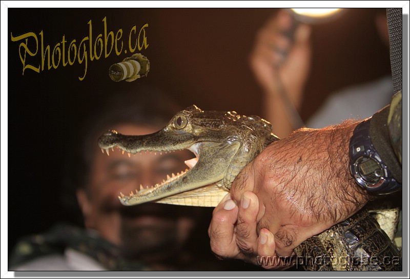 first day on the cruise, night trip  On the Amazon river, Manaus, Amazonie, Brasil le 01 April 2013. Photo: Pascal Gazon