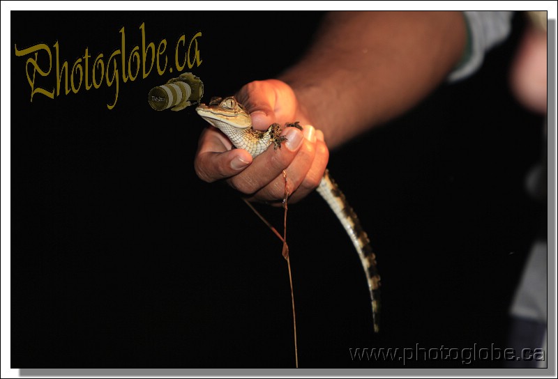 first day on the cruise, night trip  On the Amazon river, Manaus, Amazonie, Brasil le 01 April 2013. Photo: Pascal Gazon