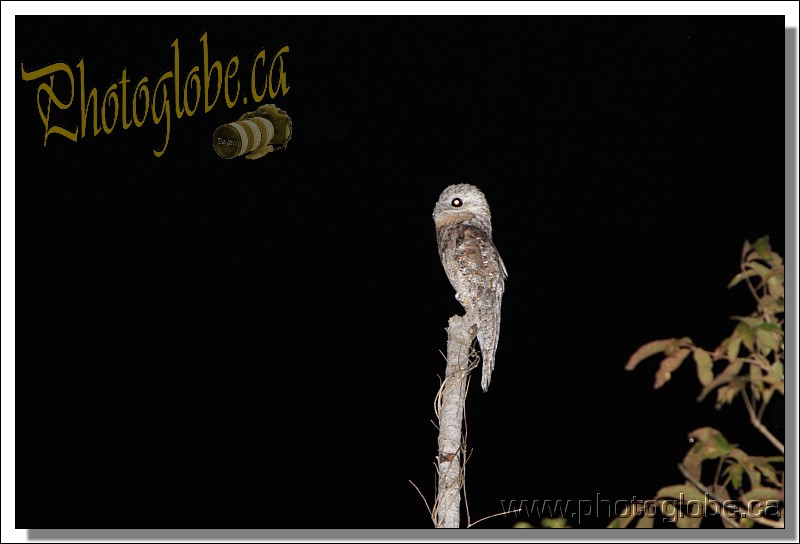 second day on the cruise, night  On the Amazon river, Manaus, Amazonie, Brasil le 02 April 2013. Photo: Pascal Gazon